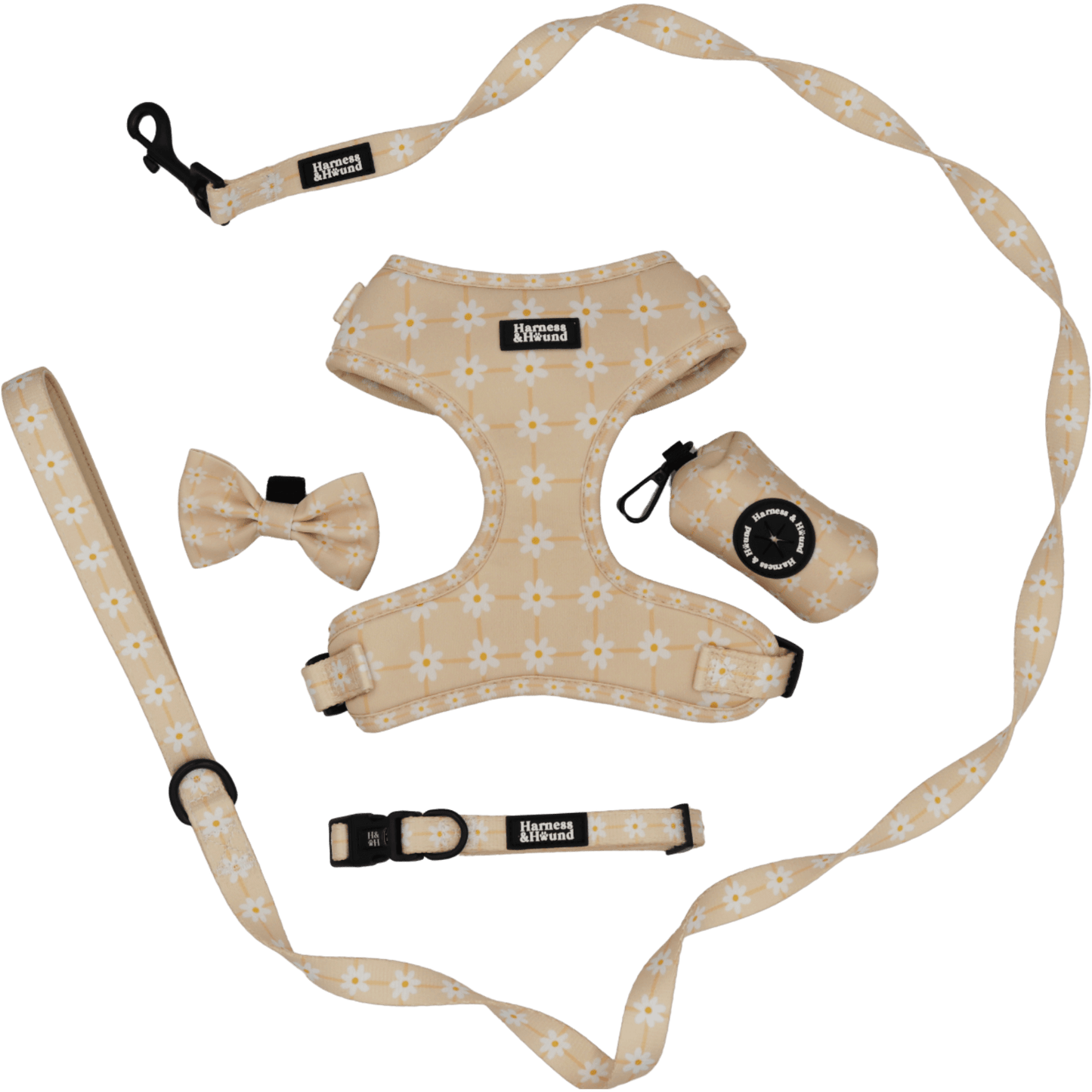 Dog harness, leash, and collar set with floral pattern on a black background