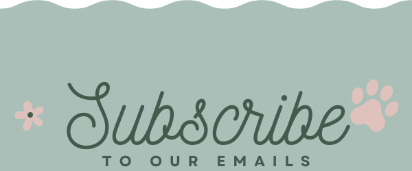 Call to action with 'Subscribe to our emails' text on a light green background with floral elements.