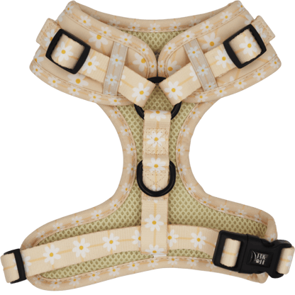 Dog harness with floral pattern on a transparent background