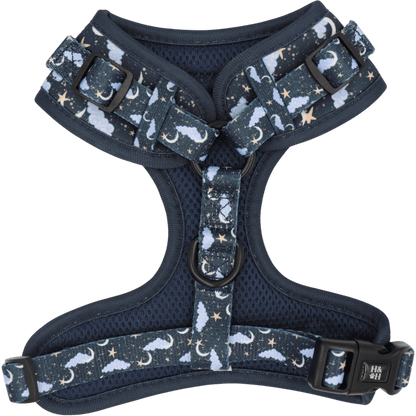 Dog harness with celestial pattern on a black background