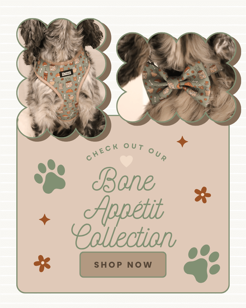 Promotional graphic for 'Bone Appetit Collection' with a dog wearing a harness and bow tie.