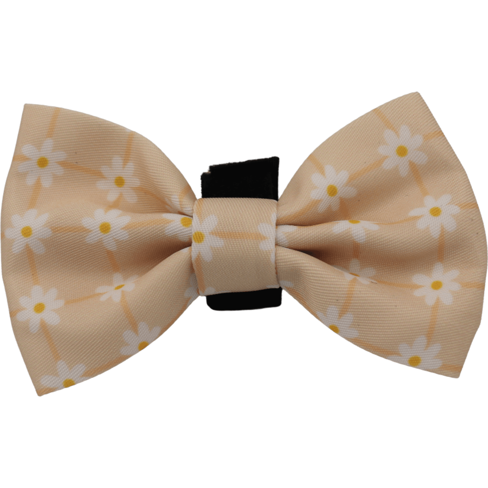 Beige bow tie with white floral pattern on a black background
