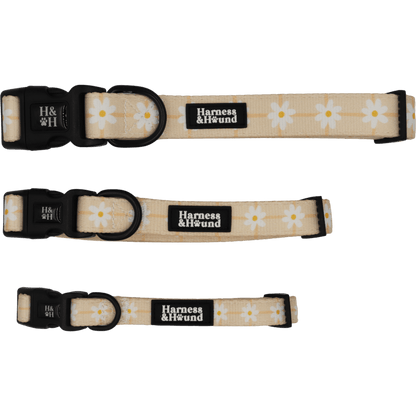 Three dog collars with floral pattern and 'Harness & Hound' branding on a black background