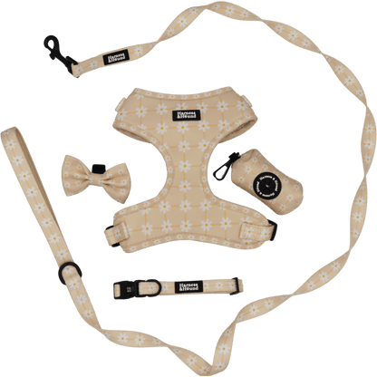 Dog harness, leash, and collar set with floral pattern on a black background
