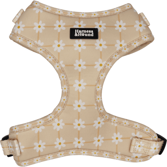Dog harness with floral pattern and 'Harness & Hound' label on a beige background