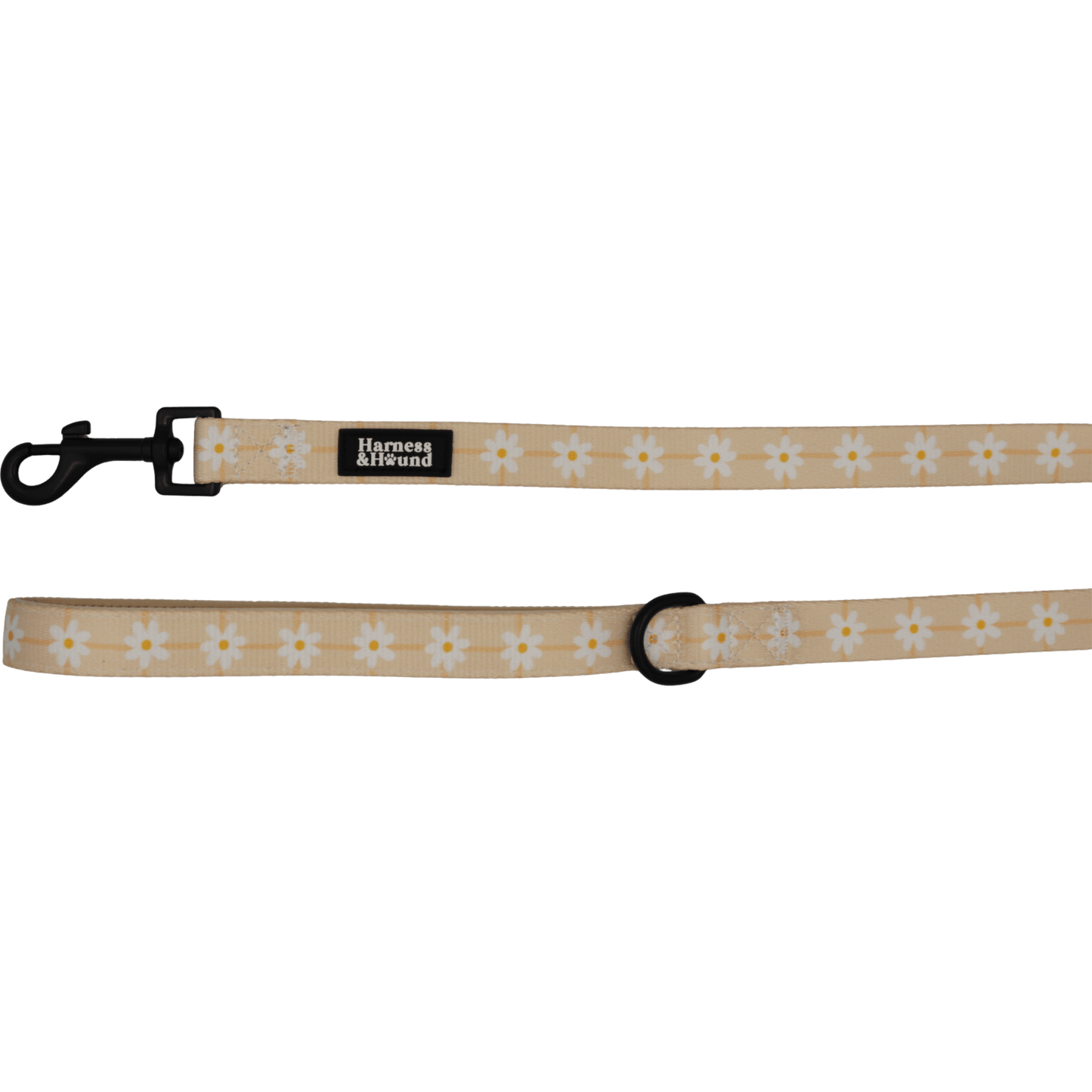 Dog leash with floral pattern on a black background