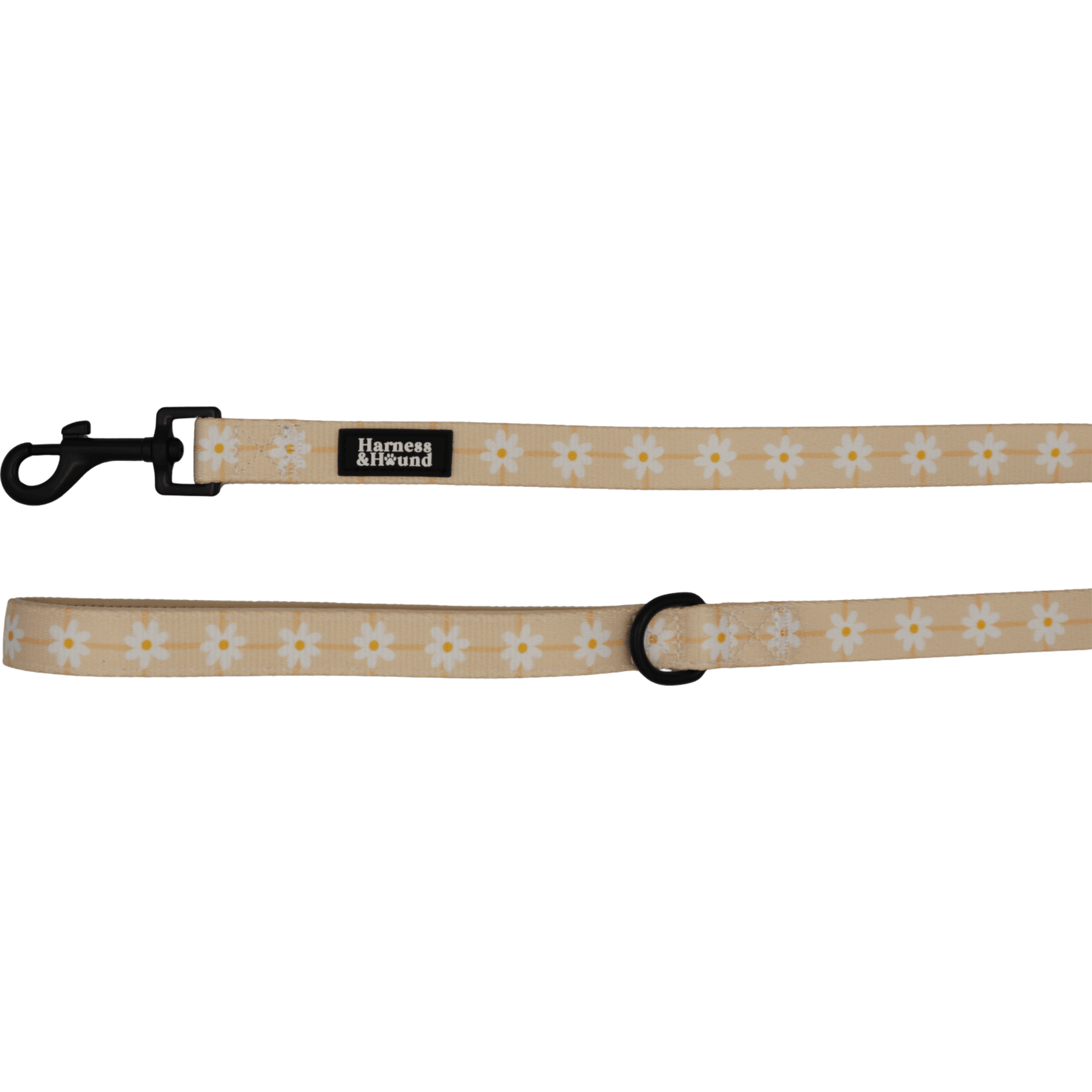 Dog leash with floral pattern on a black background