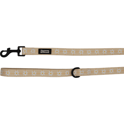 Dog leash with floral pattern on a black background
