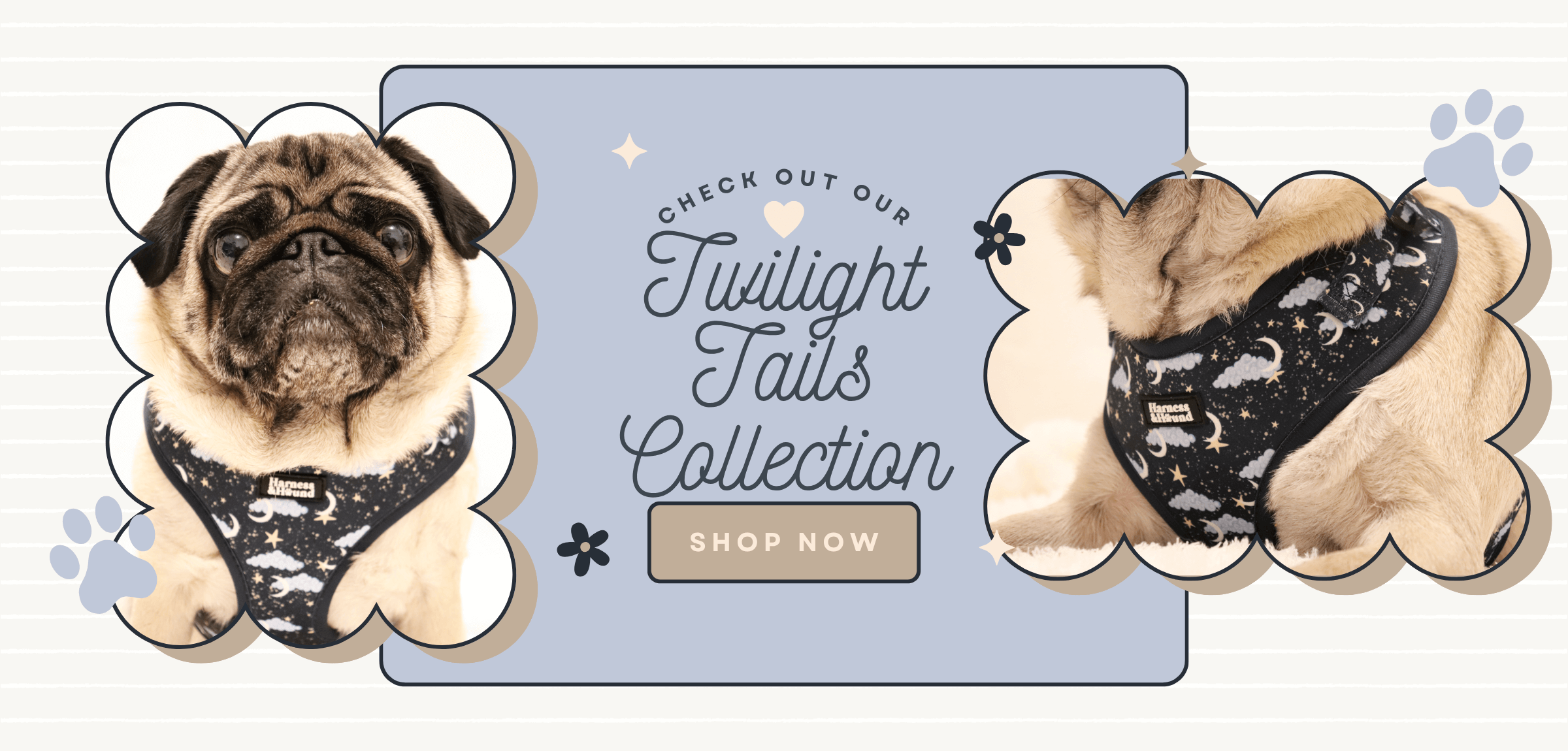 Promotional graphic for 'Twilight Tails Collection' with a pug wearing a celestial harness on a light blue background.