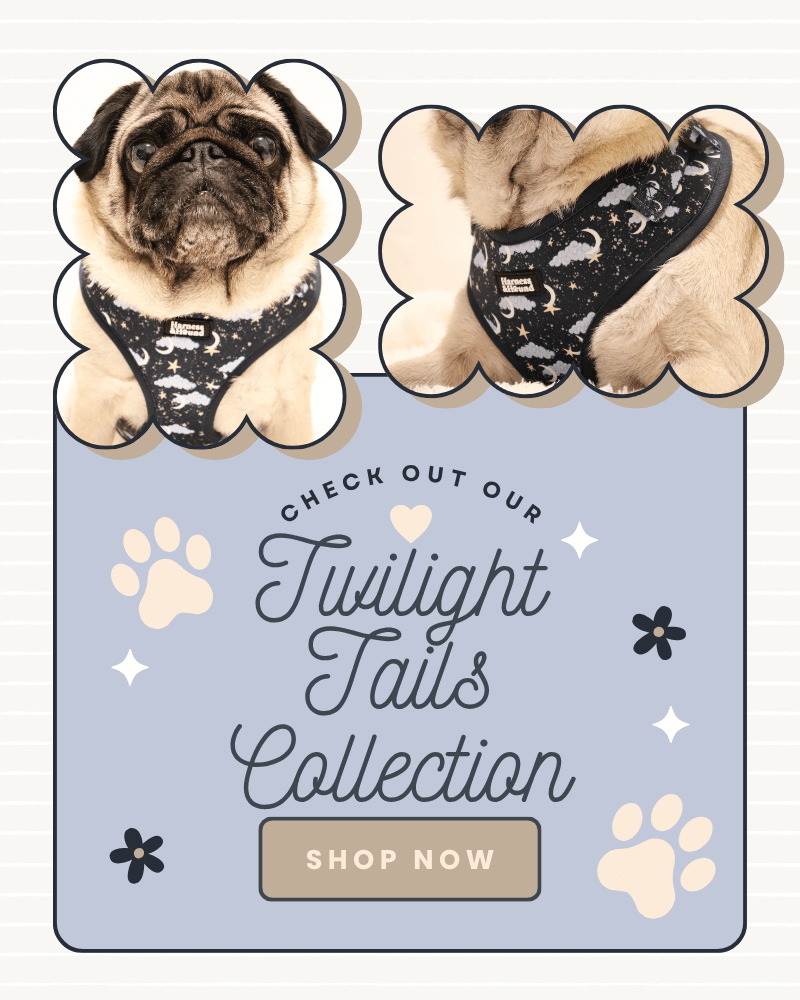 Promotional graphic for 'Twilight Tails Collection' with a pug wearing a celestial harness on a light blue background.