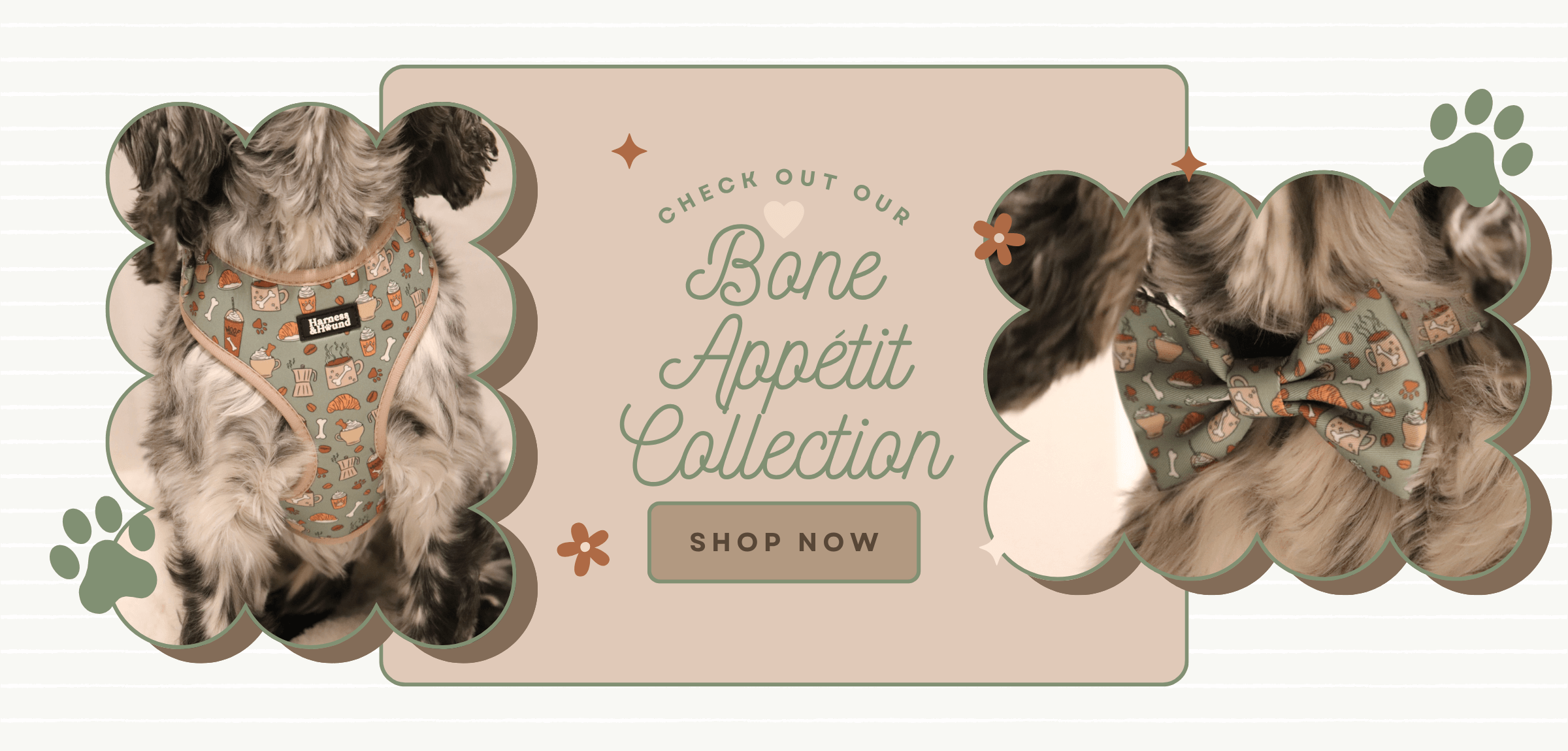 Promotional graphic for 'Bone Appetit Collection' with a dog wearing a harness and accessories.