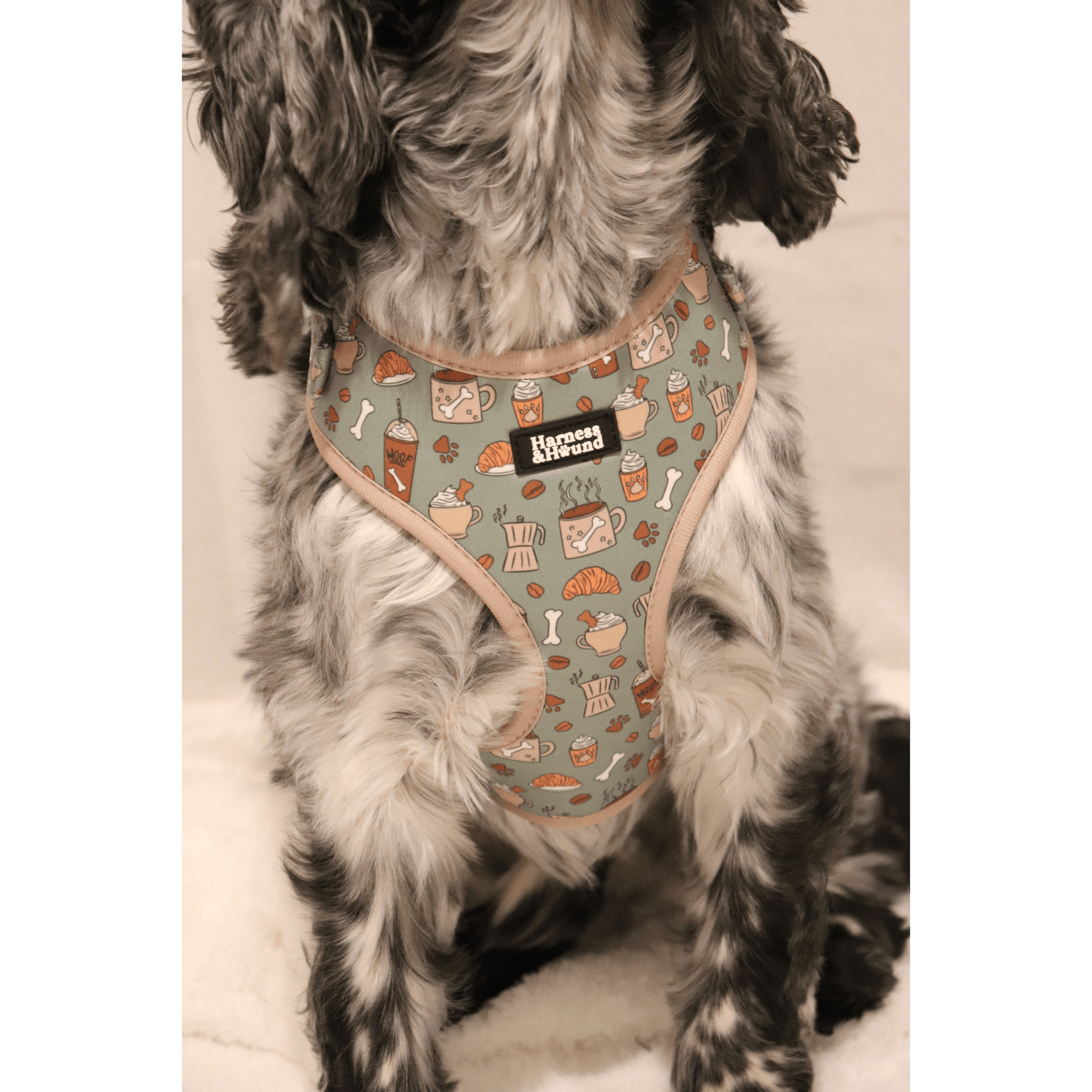 green harness featuring coffee cups, patries, bones and pupchinos