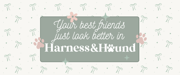 Promotional banner for Harness & Hound with text and paw prints on a light background