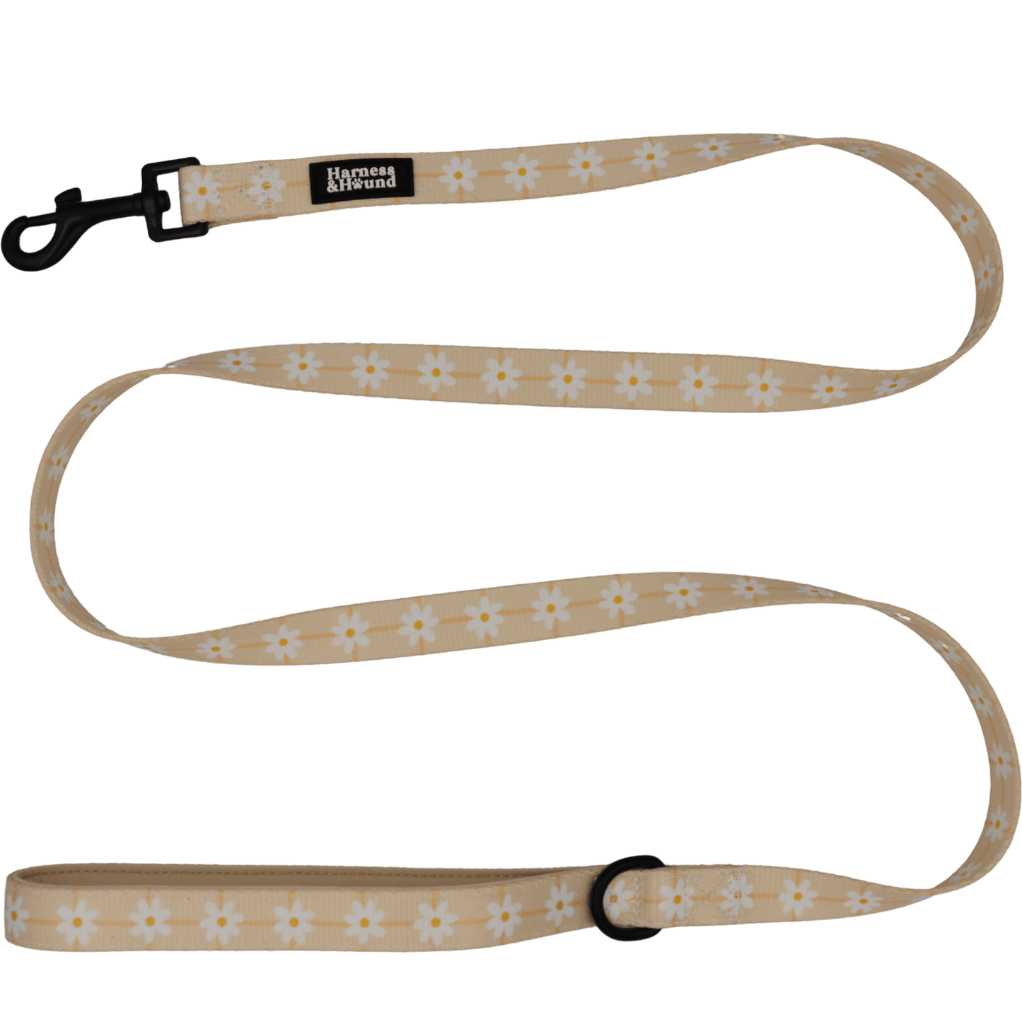 Dog leash with floral pattern on a black background