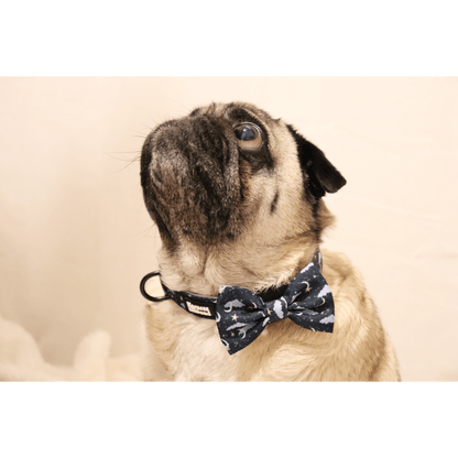 pug in collar and bow tie featuring clouds, stars and moons on blue background