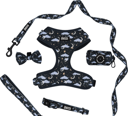 Dog harness, leash, and accessories with celestial pattern on a black background